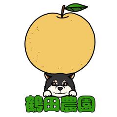 鶴田農園様のロゴデザインをお任せいただきました