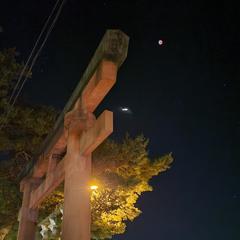 京都と琵琶湖への出張の際撮った写真③