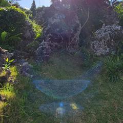宮古島にて