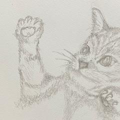 鉛筆画・イラスト…デザイン作成