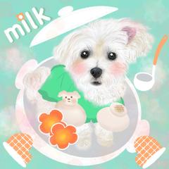 うちの子イラスト　マルチーズ
