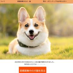 オリジナルWEBサイト制作 (架空のNPO法人用)