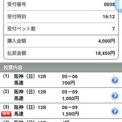 当たり馬券（競馬）
