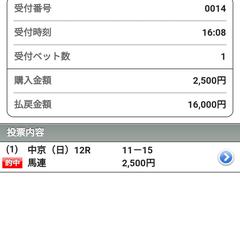 当たり馬券（競馬）