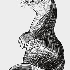 カワウソのペン画