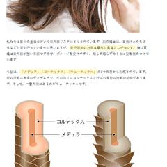 ヘアケア情報