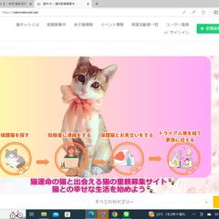 猫ネット