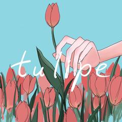 tulipe