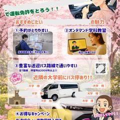 自動車教習所の春の集客用フライヤーのデザイン