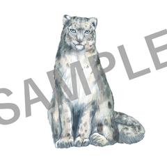 座ったユキヒョウのイラスト