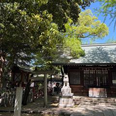 日本の景色を撮るのが好き