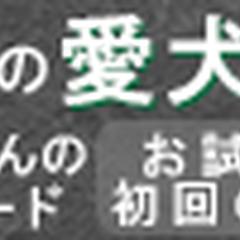 GDN向けのドッグフードの広告バナー
