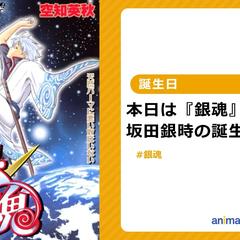 アニメイトタイムズの記事作成