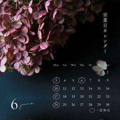 Instagram投稿用