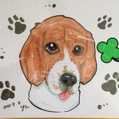 ペットさん描画
