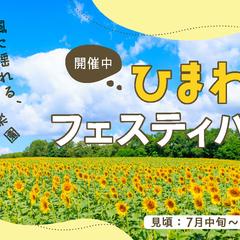 Webサイトバナー（ひまわりフェスティバル）