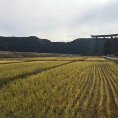 熊野三山巡礼