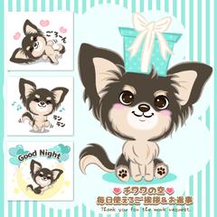 チワワ♡空くんの似顔絵LINEスタンプ