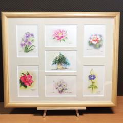 肥後六花　パソコン水彩画