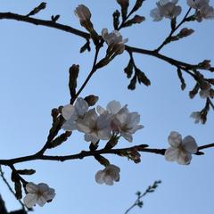 霊視　遠隔ヒーリング