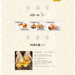 【玉ねぎ農園】