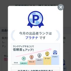 ココナラを始めて3ヶ月でプラチナ獲得✨