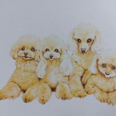 似顔絵・色鉛筆画