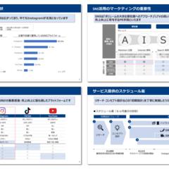SNS運用代行の提案書の作成代行