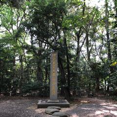 神様からのアドバイスをお伝えします。