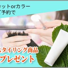バナーデザイン