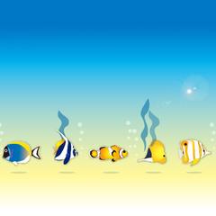ニモも仲間と海底を楽しんでいる