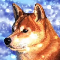 柴犬