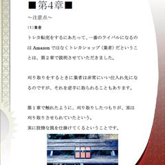 画像たっぷりの教材でトレカでお金を稼ぐ方法教えます③