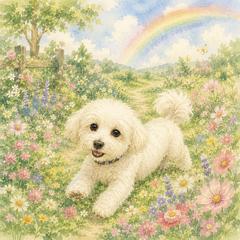 〜お空組さんから飼い主さんへメッセージ〜