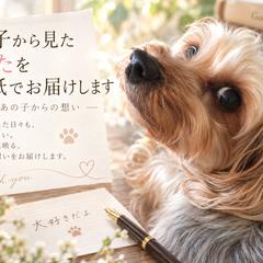 あの子の瞳に映っていたあなたをお手紙風に