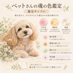 あの子の魂の特徴は？