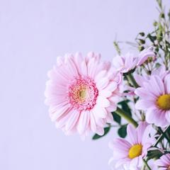 サムネイル画像の制作事例。