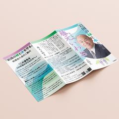 地方政治家の討議資料（三折りリーフレット）