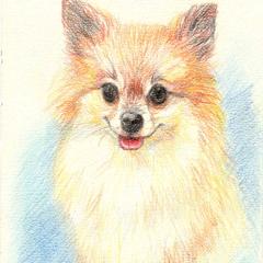 色鉛筆　似顔絵