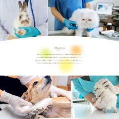 動物病院HPのデザイン案