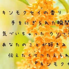 キンモクセイ 作詞例