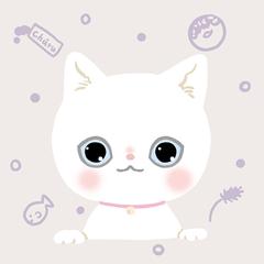 My Cat♡