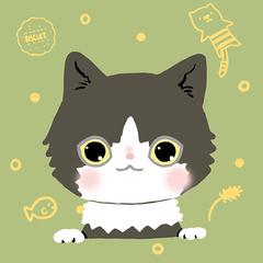 My Cat♡