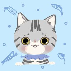 My Cat♡(アメショ)