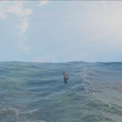 青空と海と鮫と