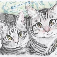 ヤンチャーズ