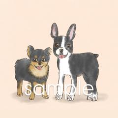 ペットイラスト
