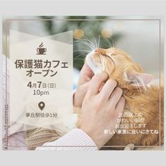 保護猫カフェオープンバナー
