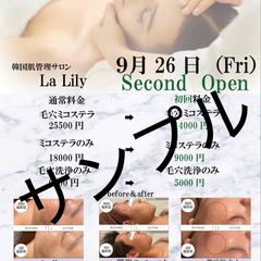 チラシ