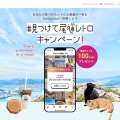 【架空案件コーディング】キャンペーンLP